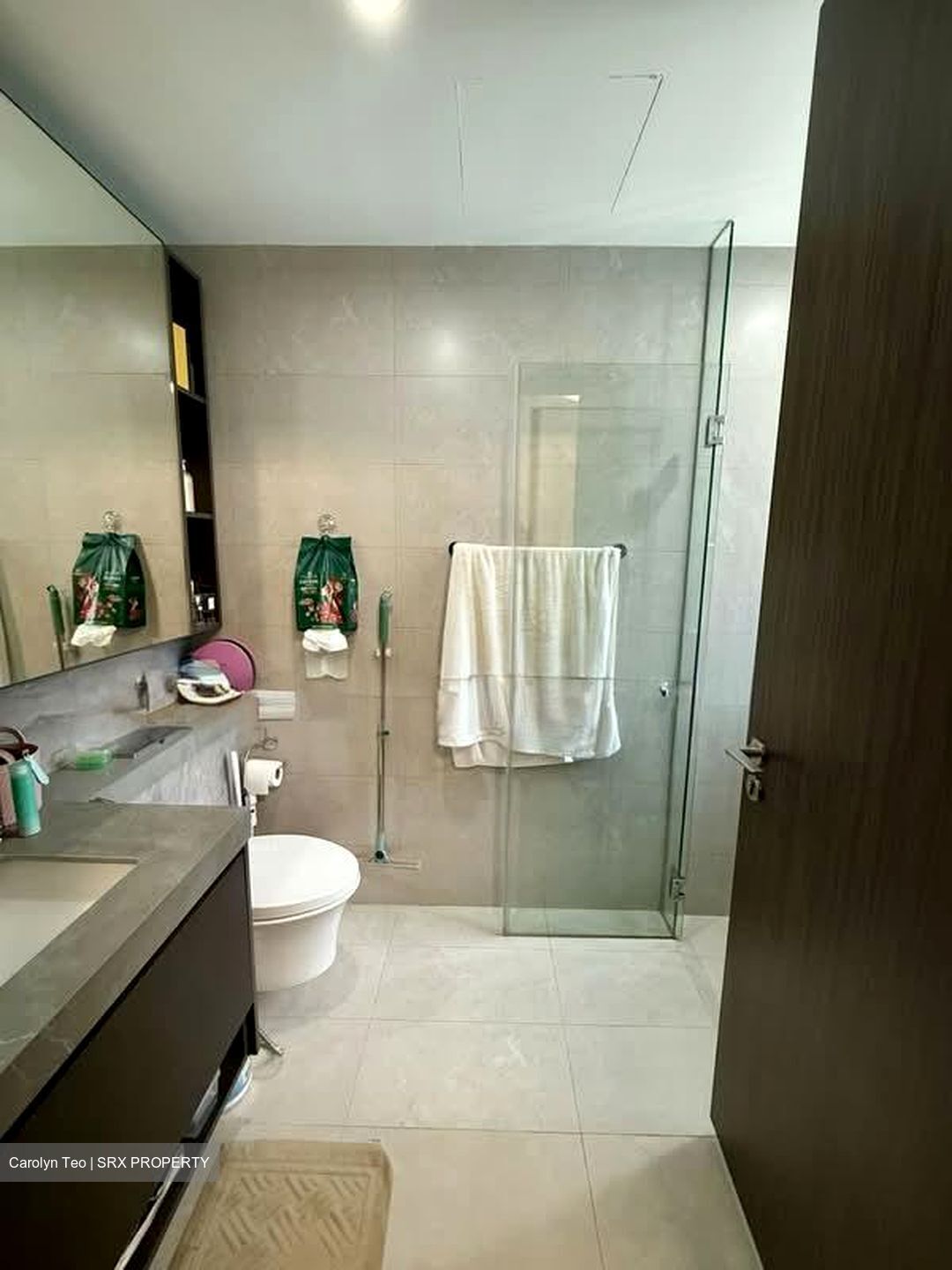 Parc Clematis (D5), Apartment #581195061